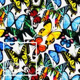 Caprice Cotton Lycra Digital Print Fabric