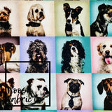 Edgar Woven Digital Print Fabric