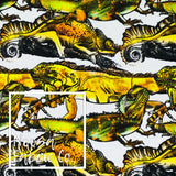 Graham Cotton Lycra Digital Print Fabric