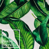 Lavinia Digital Print Fabric